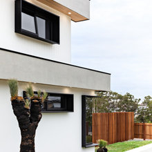 Garden Feature Tree