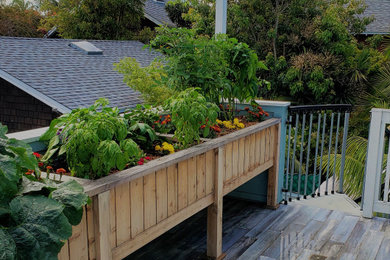 Deck photo in San Diego