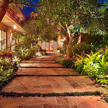 Landscape Ideas