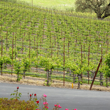 Tuscany in California!