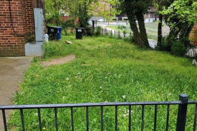 This is an example of a landscaping in DC Metro.