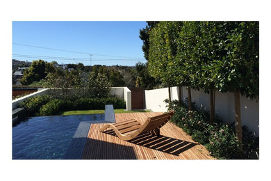 This is an example of a contemporary courtyard garden in Auckland.
