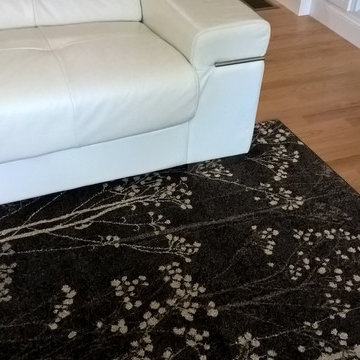 Modern Living Room