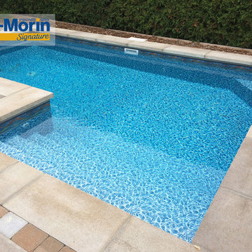 Piscine creusée coffrage isolant VMSR30 | Relaxation