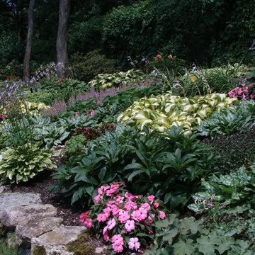 Shade Garden on Rock Outcropping