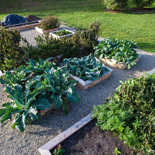 Urban Farm