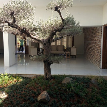 Farmhouse Gardens