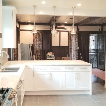 2 MONTHS!! Complete Kitchen Renovation