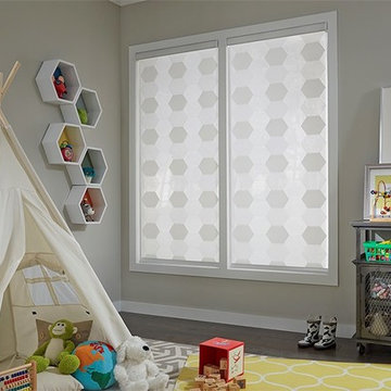 Modern Transitional Shades
