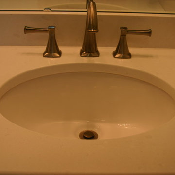 Cary Master Bath Remodel