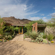 Desert Hillside