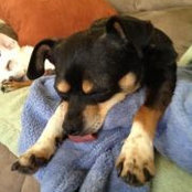 Susie Weslander's photo