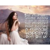 Donna Fitzpatrick's photo