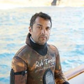 Mohammed J Alkuwari's photo