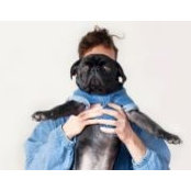 Parker Harris's photo