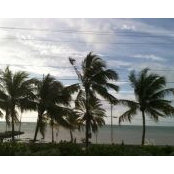 Cathy Hart's photo