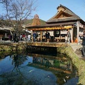 Michael Yung's photo