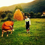 Damir Durmo's photo