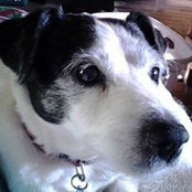 Windy Stull's photo