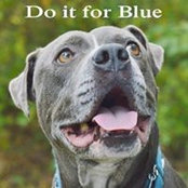 Terry Kuehner's photo