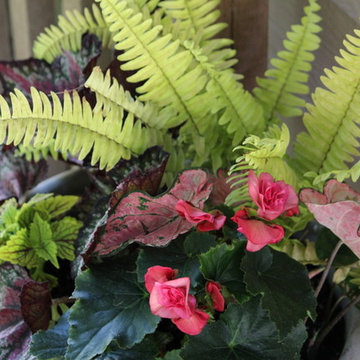 Summer Container Garden