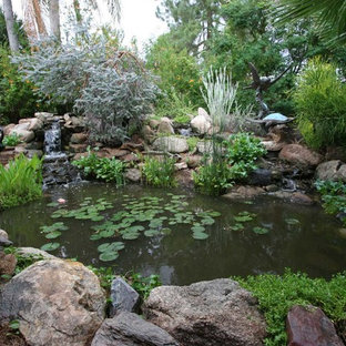 Mittelgroßer, Halbschattiger Eklektischer Garten hinter dem Haus mit Teich in Phoenix
