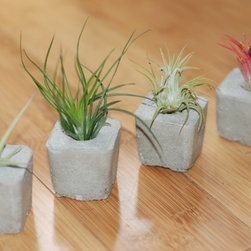 Handmade Concrete Planters - Indoor Pots And Planters