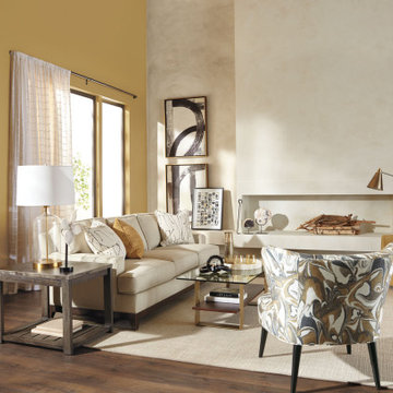 Transitional & Elegant Living Room