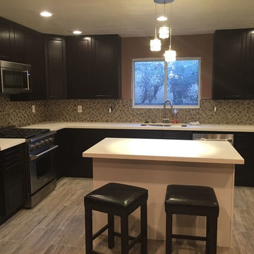 Dark cabinet Kitchen Remodel