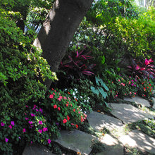 Garden - Shade