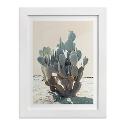 Blue Cactus by Wilder California - Fine Art Prints