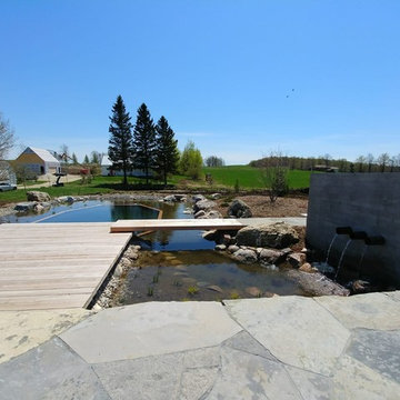 Pond in the Fields