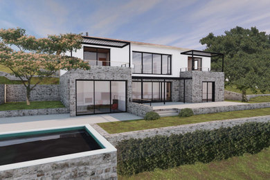 Idées déco pour une façade de maison contemporaine.