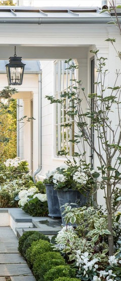 Greenery Front Front Garden: Would you keep the greenery or go for a modern look ...