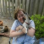Deb Davis's photo