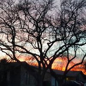 Sheri Davis's photo