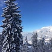 Foto von Jackie Weavill