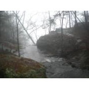 Scott Eslick's photo