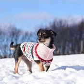Maddy Berd's photo