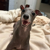 Robin Hannon's photo