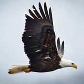 John Heeters foto