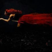 Donna Earls's photo