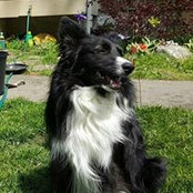 Ben Ericsson's photo