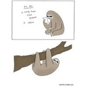 Robert McAfee's photo