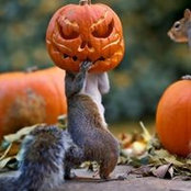 Joan Morgan's photo