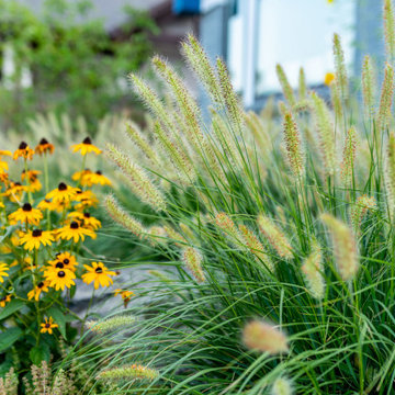 An Intimate Garden