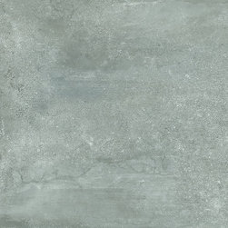 Prowalk Grey - Wall & Floor Tiles