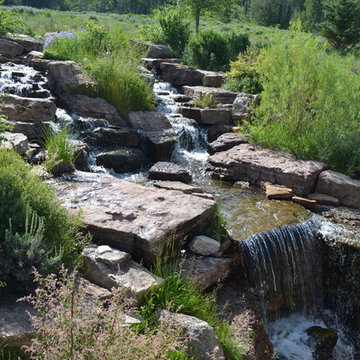 Design - Build Mountain Ranch Landscape in Summit County, CO