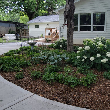 2025 Garden Highlights