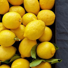 Wish List